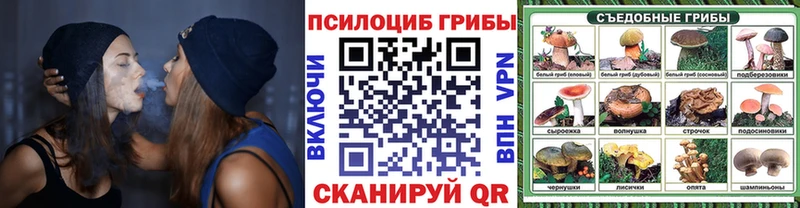 наркота  Тарко-Сале  Псилоцибиновые грибы Magic Shrooms 